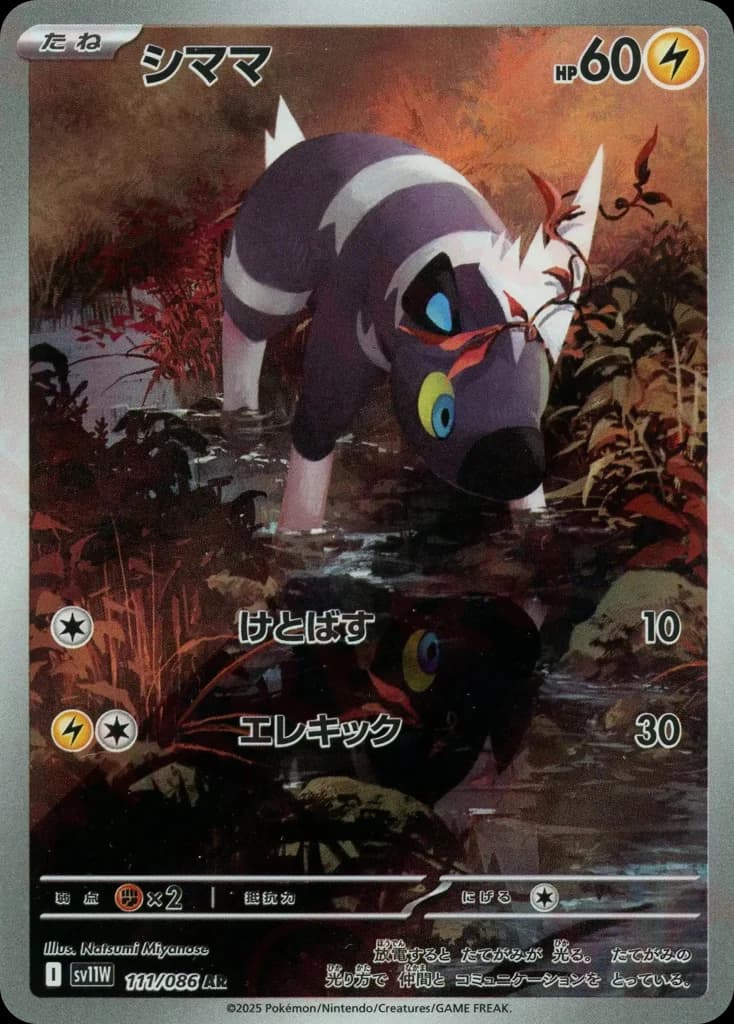 シママ