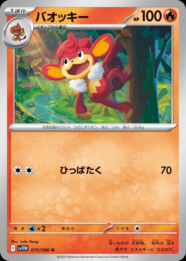 バオッキー