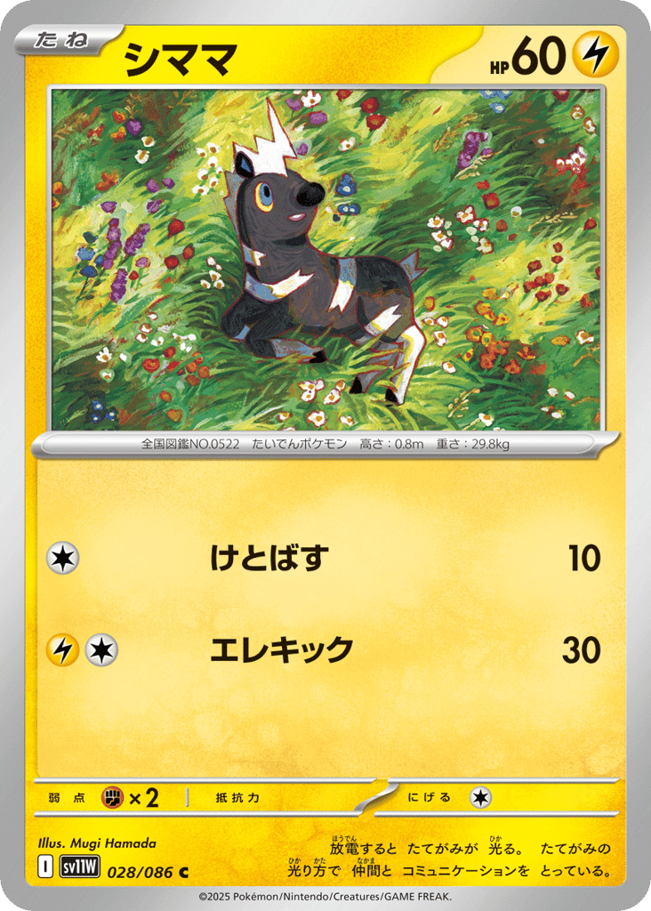 シママ