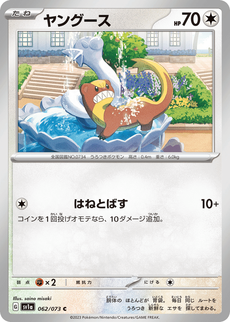 ヤングース