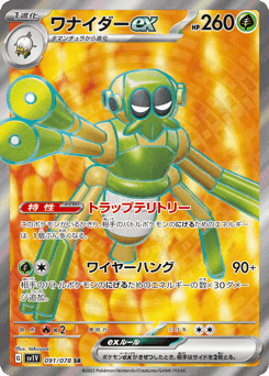 Spidops ex