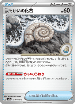 Antique Helix Fossil