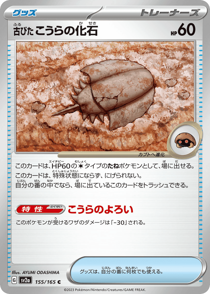 古びたこうらの化石