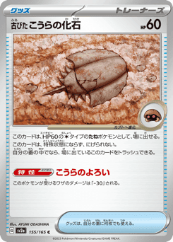 Antique Dome Fossil