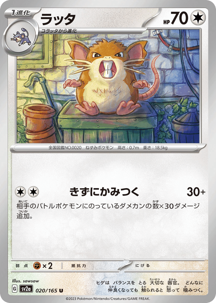 ラッタ