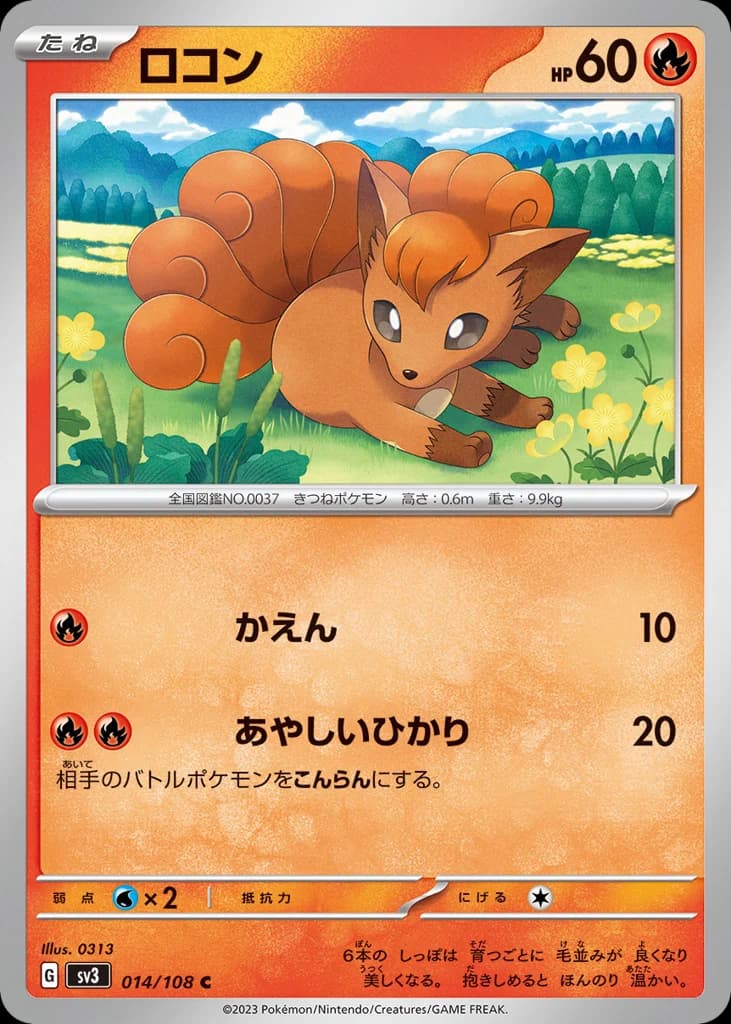 ロコン