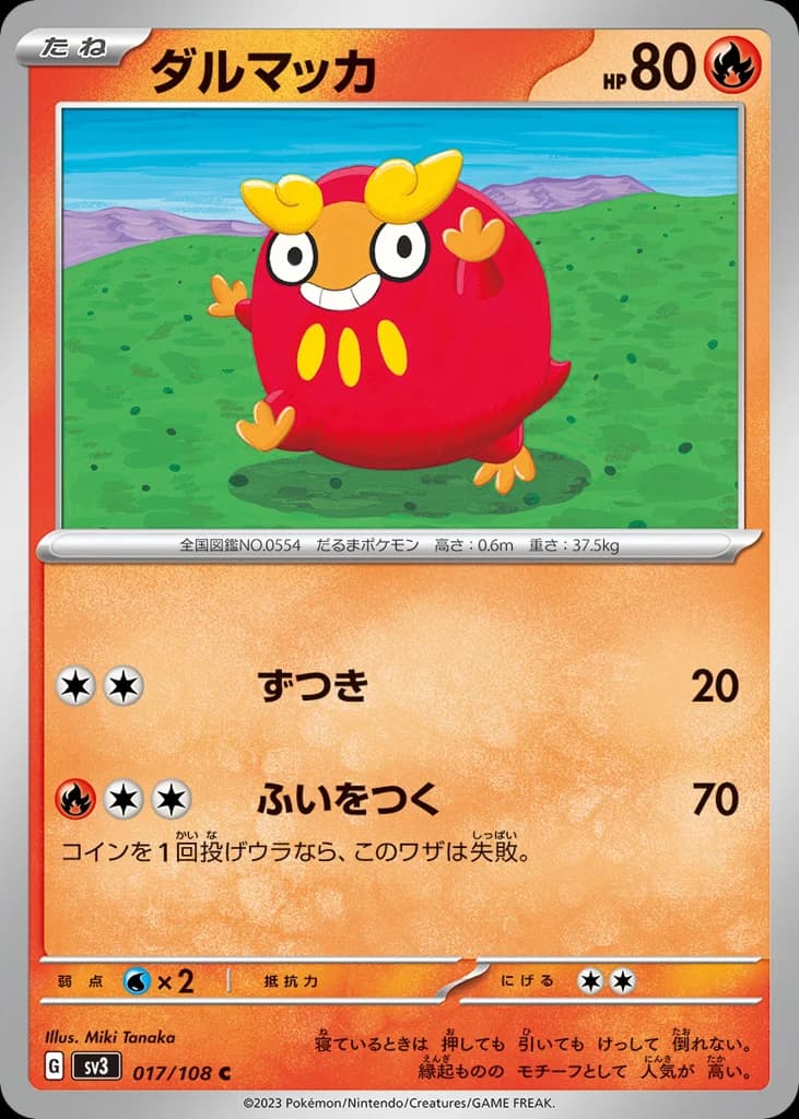 ダルマッカ