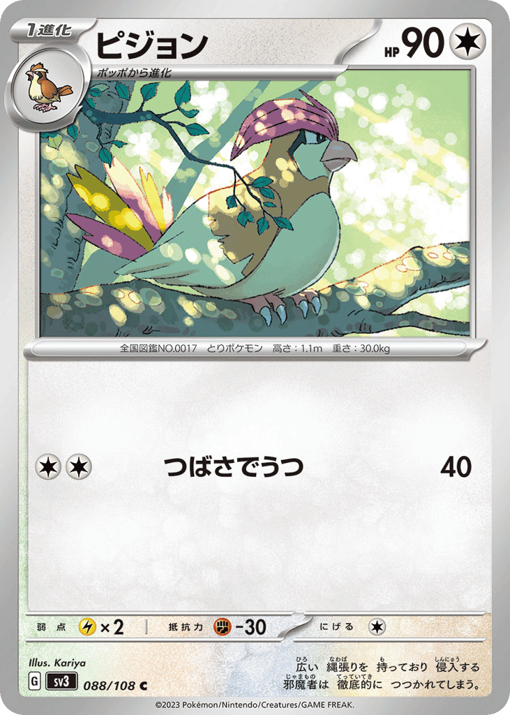 ピジョン