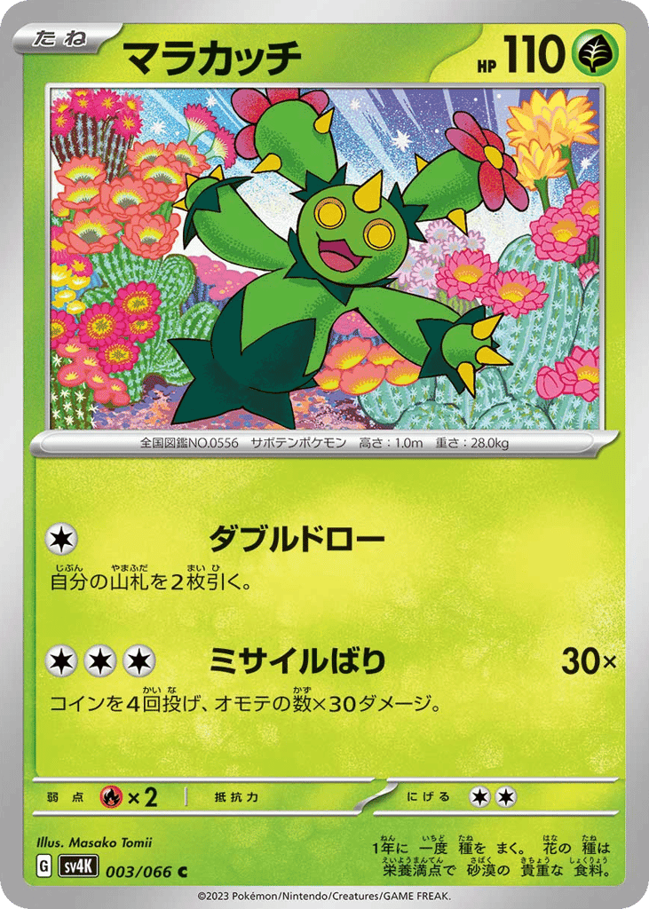 マラカッチ