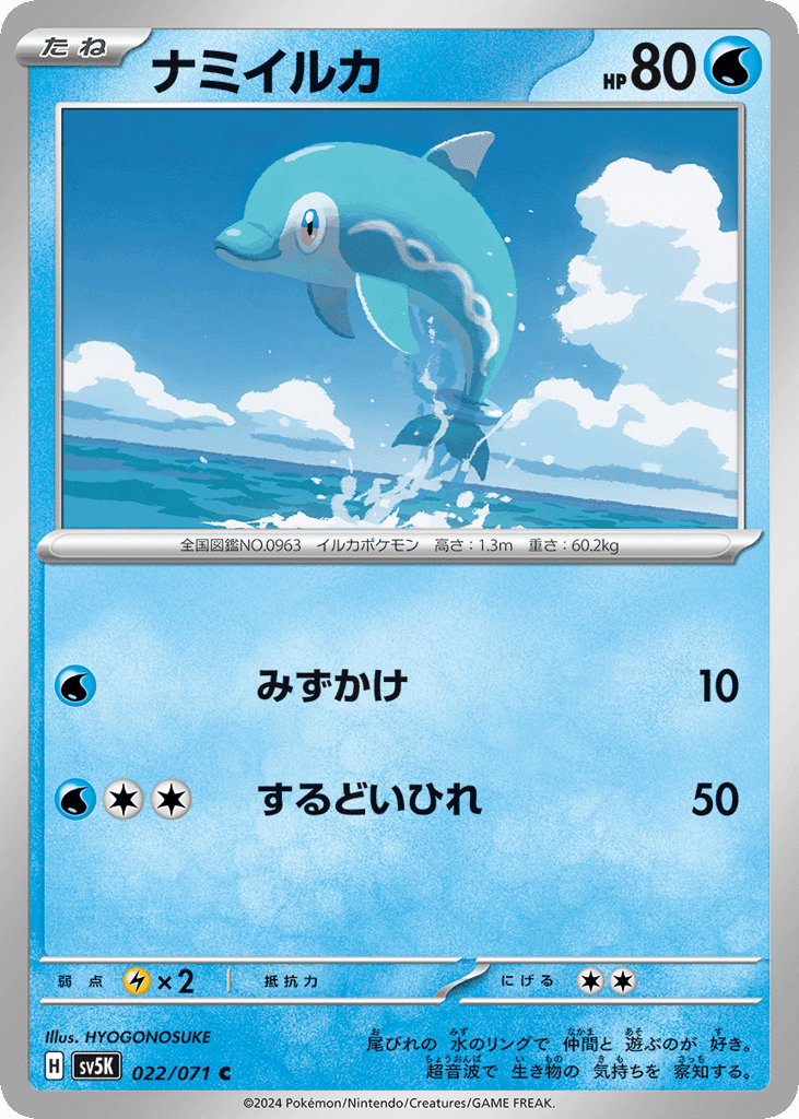 ナミイルカ