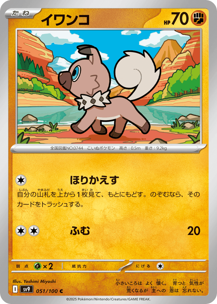 イワンコ