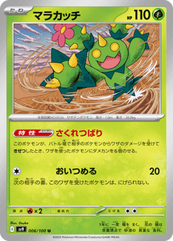 Maractus