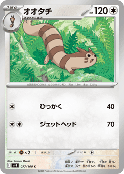 Furret