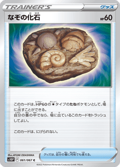 Unidentified Fossil