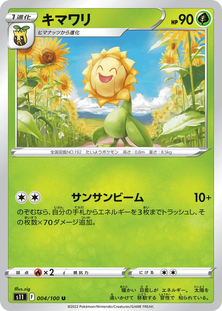 キマワリ