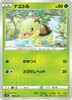 Turtwig