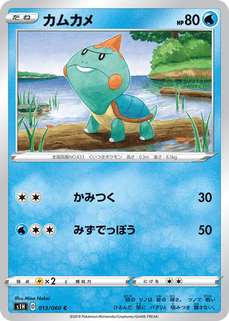 カムカメ