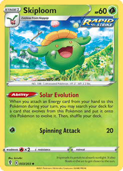 Skiploom