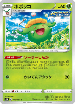 Skiploom