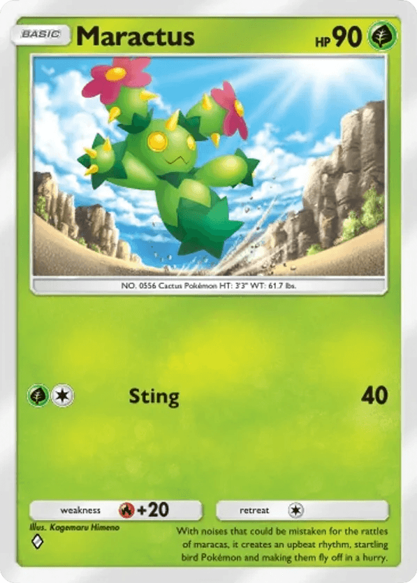 Maractus
