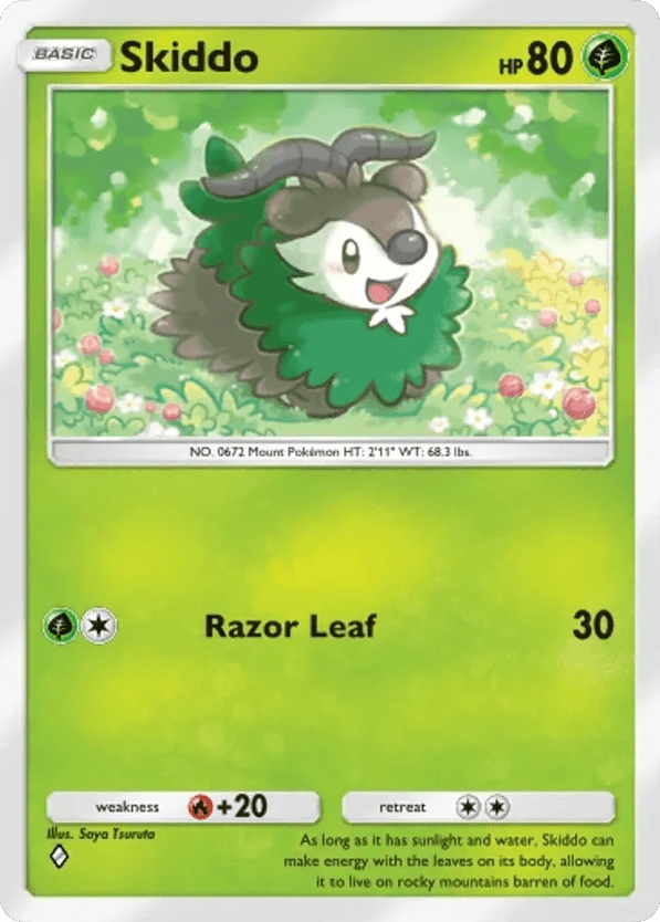 Skiddo