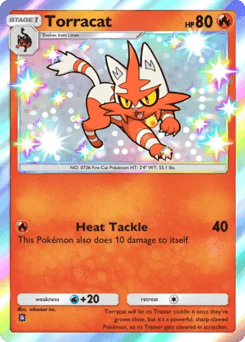 Torracat