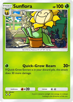 Sunflora