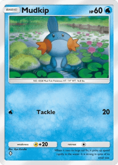 Mudkip
