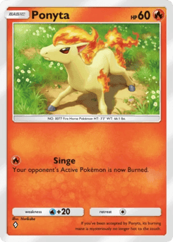 Ponyta