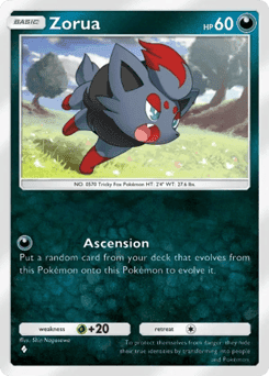 Zorua