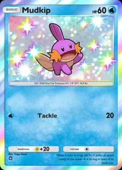 Mudkip
