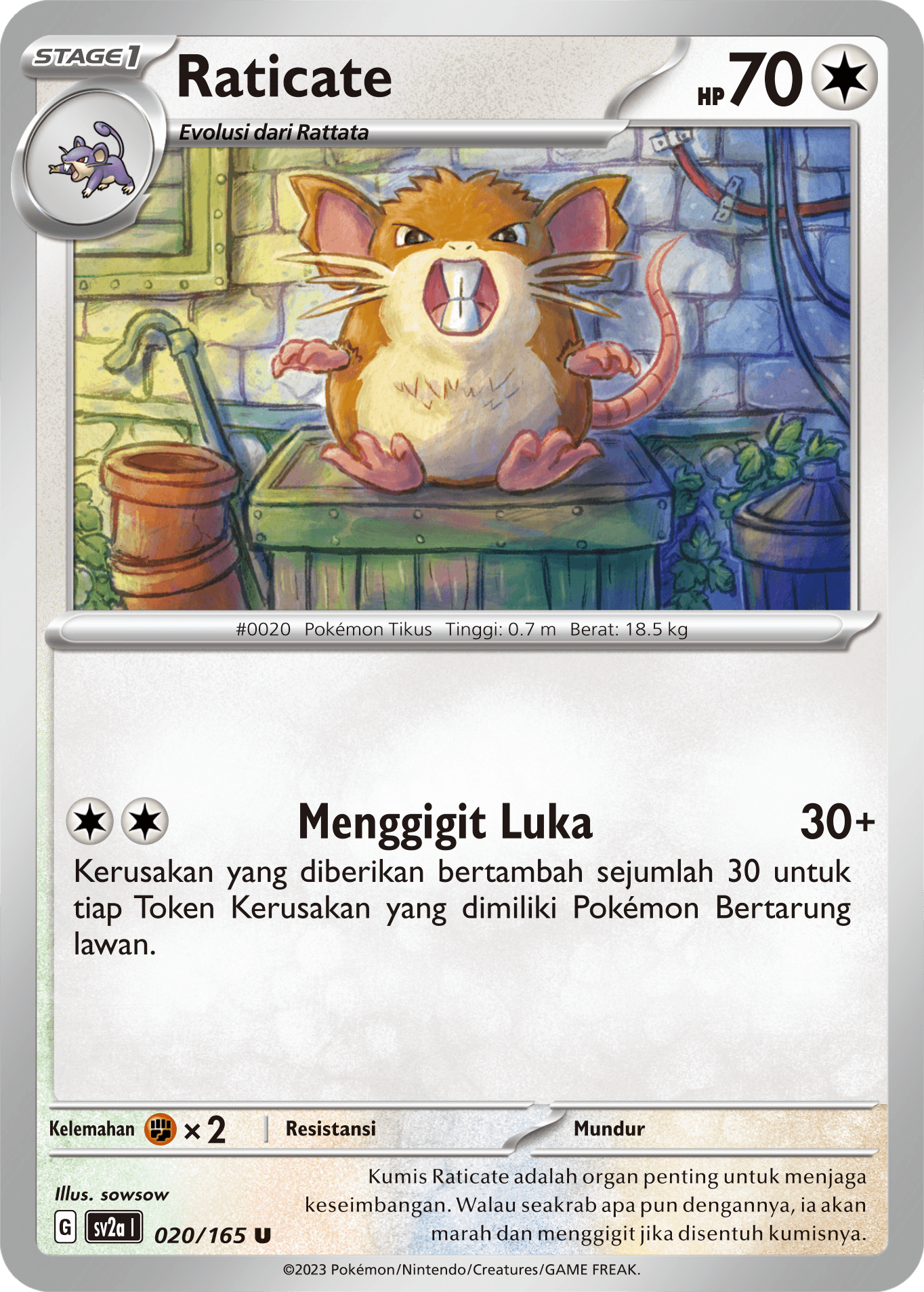 Raticate