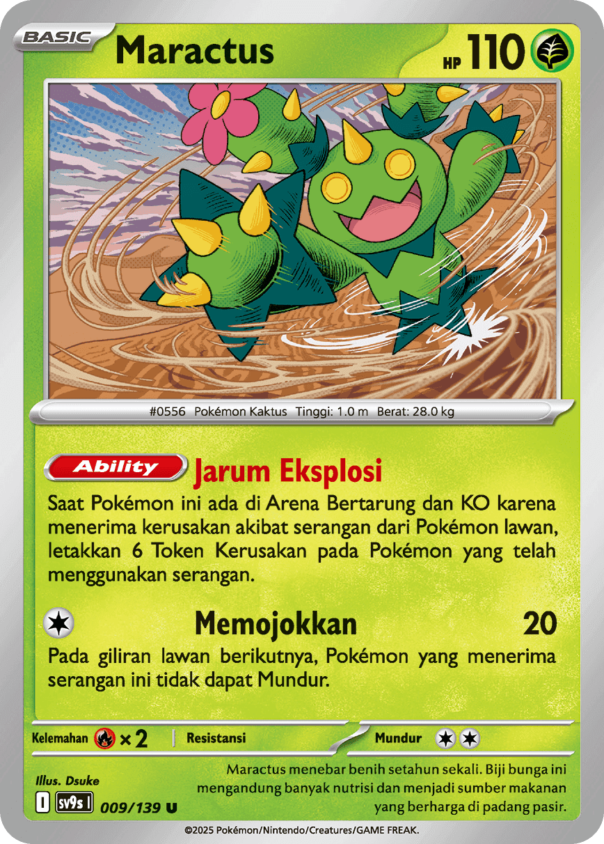 Maractus