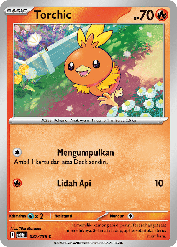 Torchic