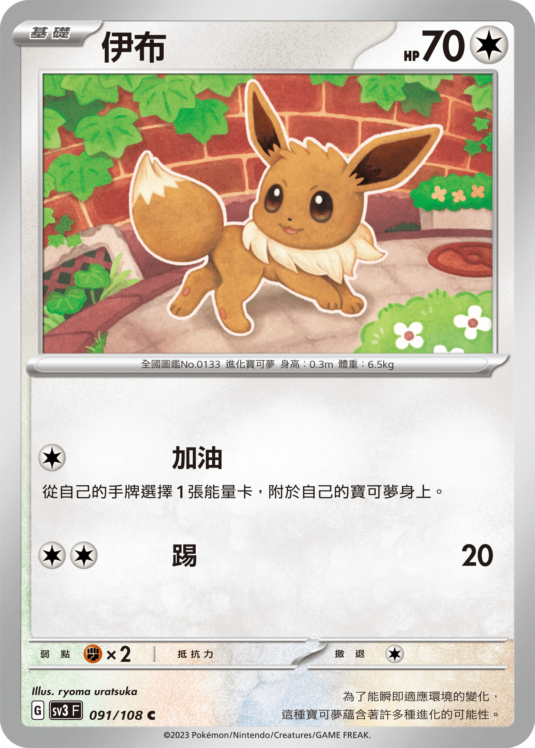 伊布