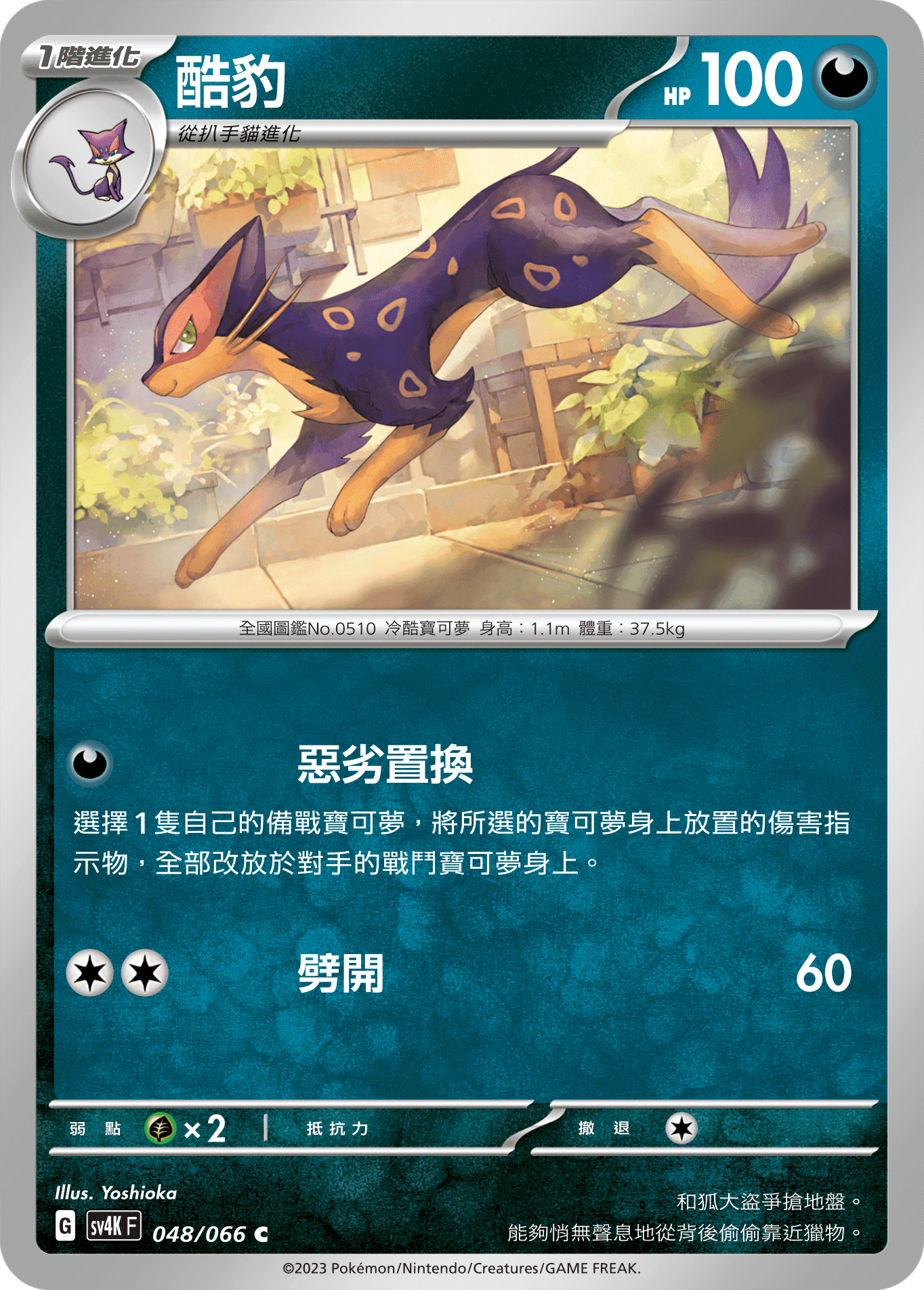 酷豹