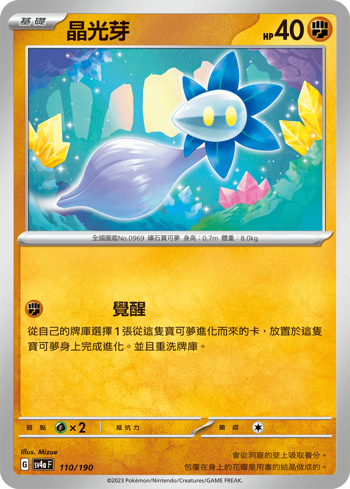 晶光芽