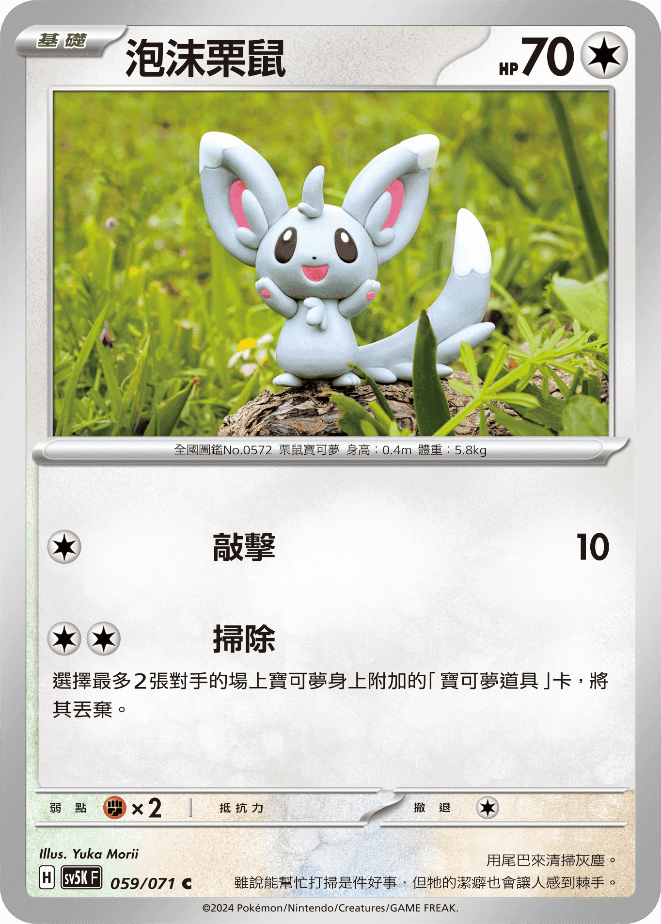 泡沫栗鼠