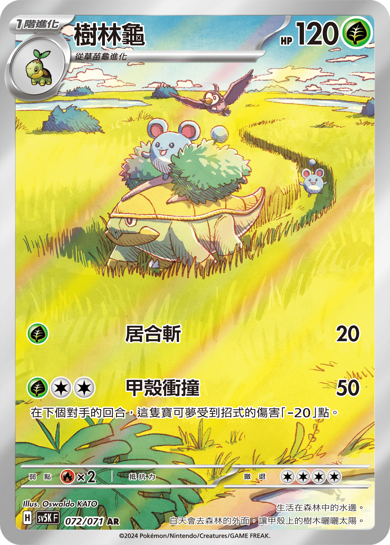 樹林龜