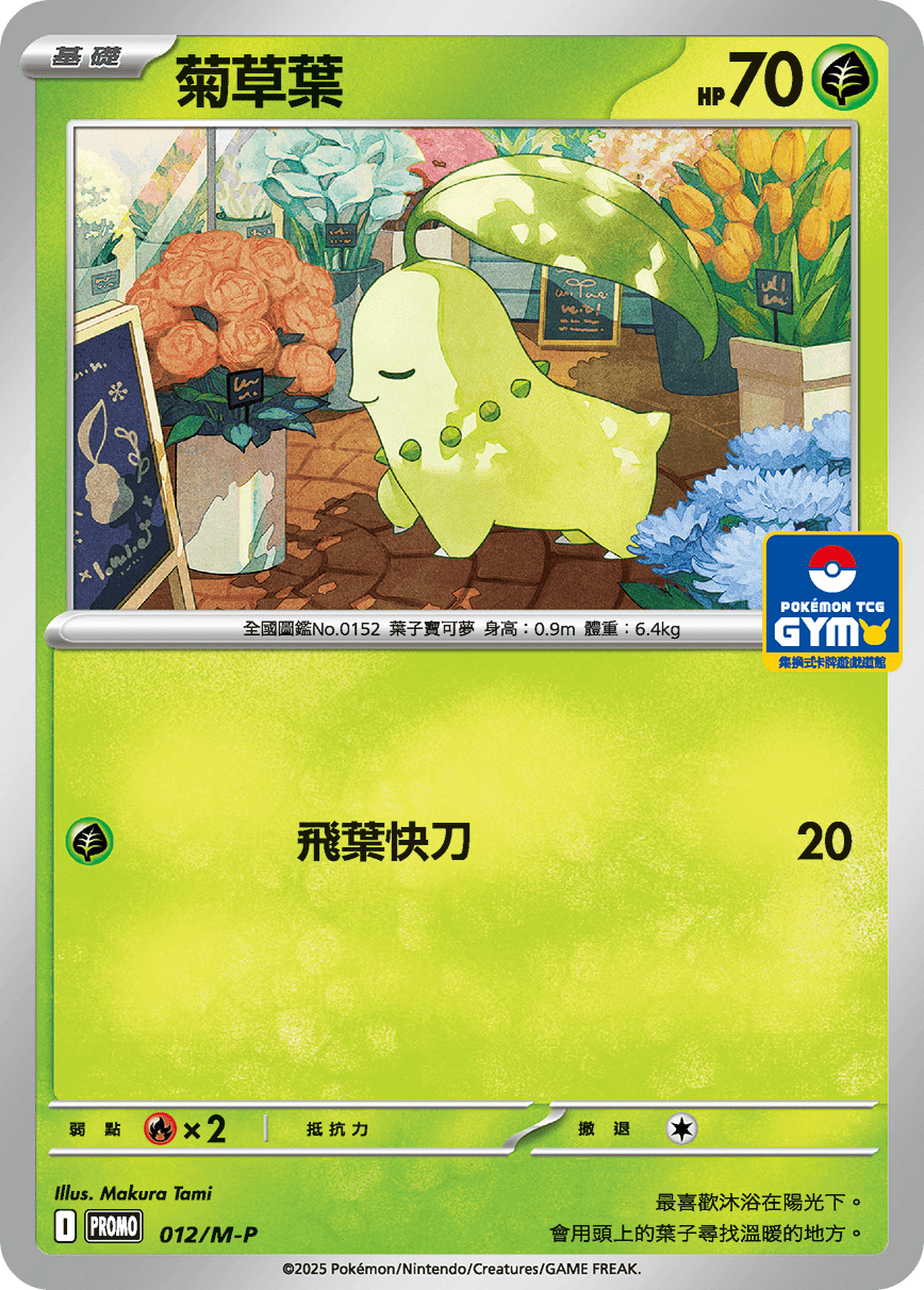 菊草葉