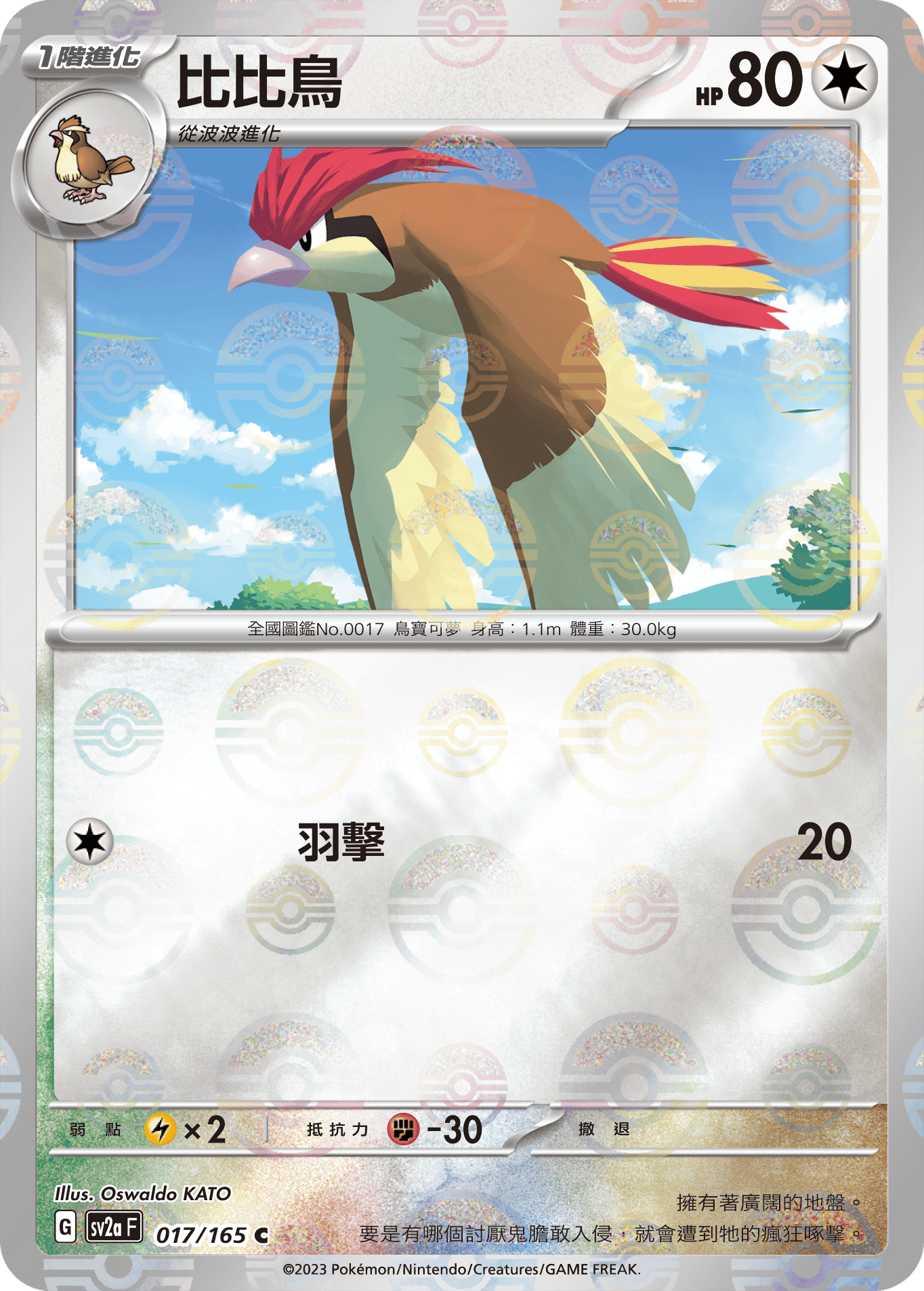 比比鳥