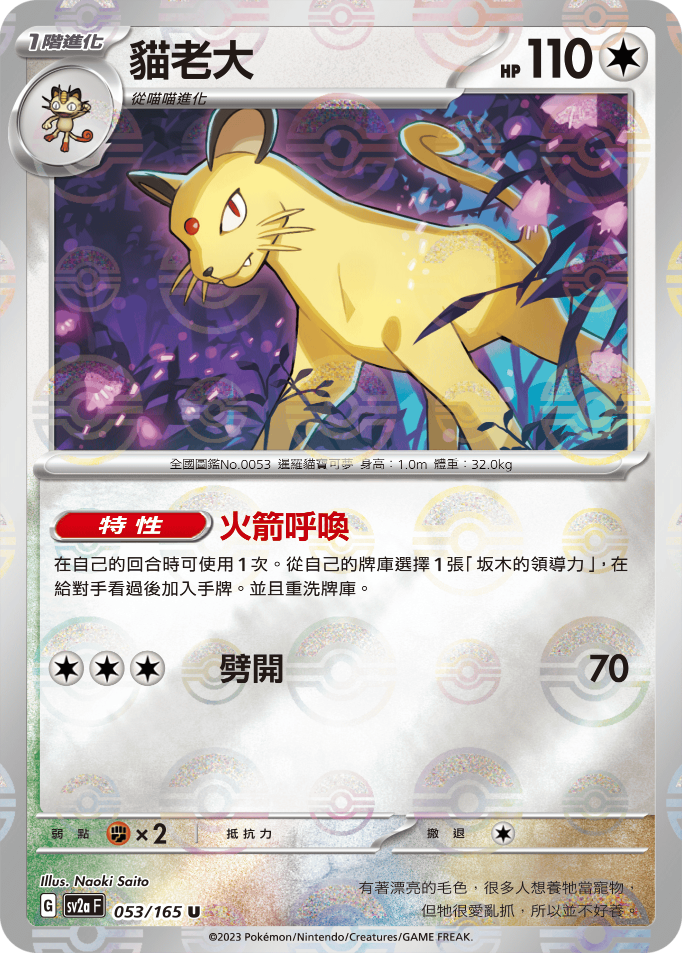 貓老大