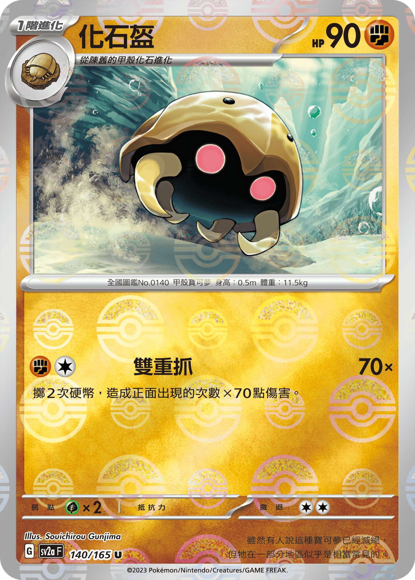 化石盔