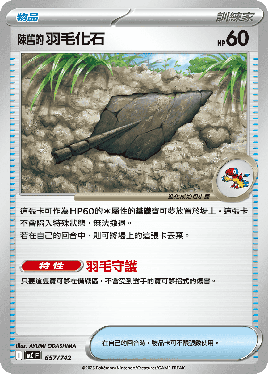 陳舊的羽毛化石